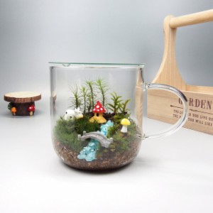 きのこの家 苔テラリウム 手作りキット マグカップ 観葉植物 ミニ テラリウム 苔 コケ 苔リウム 園芸 ガーデニング インテリア 苔盆栽 癒