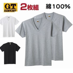 2枚組 Vネック 半袖 Ｔシャツ 無地 カラー 紳士 メンズ 綿100％ グンゼ GTホーキンス おすすめ HK10152