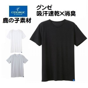 グンゼ 半袖Ｔシャツ 鹿の子素材 紳士 メンズインナー 肌着 吸汗 速乾 インナー クールマジックＭＣ2513