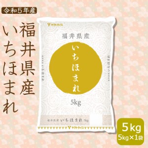 いちほまれ 5kg お米 米 福井県産 白米 令和5年産 特A 北海道・沖縄は送料900円　