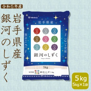 お米 米 岩手県産 銀河のしずく 5kg 白米 令和5年産 北海道・沖縄は送料900円　