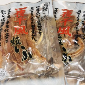 【送料無料】お得な２袋セット一夜干し風焼きいか ４８g×２（国内加工品）　珍味/おやつ/するめ/あたりめ【メール便発送】