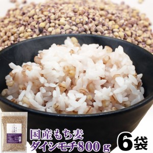 もち麦 国産 ダイシモチ 4.8kg (800g×6袋) ダイエット 雑穀 雑穀米 送料無料