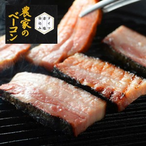 農家のベーコン ブロック ギフト 2個セット 札幌バルナバハム 豚肉 燻製 北海道 お取り寄せ グルメ 冷凍 送料込み