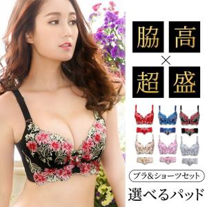 ブラジャー ショーツ セット ＼新作／ 脇高 補正 育乳 脇スッキリ 脇高ブラ 脇肉スッキリ 補正ブラ 綺麗 きれい 可愛い かわいい セクシ