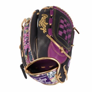 ローリングス(Rawlings)軟式用グラブ オールラウンド用 野球グローブ 一般 BLIZZARD & Wizard 01 …