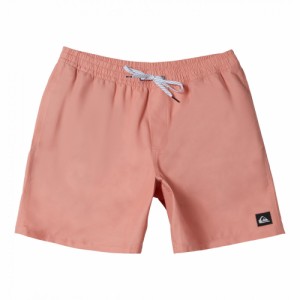 クイックシルバー(Quiksilver)EVERYDAY SOLID VOLLEY 19 ボードショーツ 24SPAQYJV0…