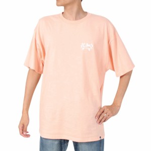 ディーシーシューズ(DC SHOES)DC REACH FOR THE STAR 半袖Tシャツ 22SPDST221061YP…