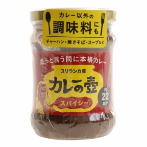 その他ブランド(OTHER BRAND)カレーの壺 スパイシー 0110