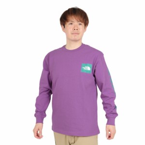 ノースフェイス(THE NORTH FACE)長袖Tシャツ ロンT ロングスリーブスリーブグラフィックティー NT32438 …