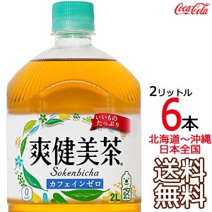 【北海道から沖縄まで 送料無料】 爽健美茶 2L × 6本 （1ケース） ハトムギ 玄米 月見草 大麦 どくだみ コカ・コーラ Coca Cola メーカ