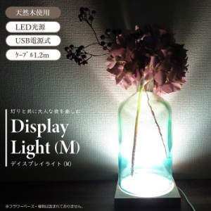 照明 ライト LED ディスプレイライト Mサイズ USB電源式 天然木使用 ケーブル1.2m 約14cm程度向け ライトアップ 演出 間接照明 おしゃれ 