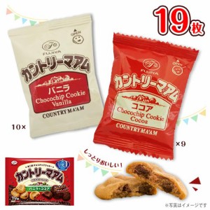 カントリーマアム　バニラ&ココア　19枚入(バニラ10枚・ココア9枚)×1袋　計19枚　クッキー　不二家　★夏場は溶ける恐れ有り