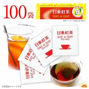 日東紅茶　DAY&DAY　紅茶　ティーバッグ　100袋入×1箱　計100袋　大容量　業務用　来客用　ホットティー　アイスティー