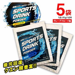 リブ・ラボラトリーズ　スポーツドリンクパウダー　粉末　1L用　5袋(1袋41g)　スポーツ　水分補給　ポイント消化　送料無料　お試し