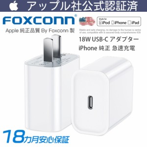 自発的 所持 示す Iphone Ac アダプタ 純正 アンペア Washi Sakura Jp