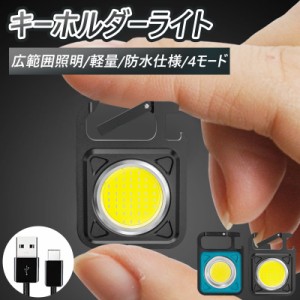 LED COBライト 投光器 2個セット キーホルダーライト Mini作業灯 超小型 高輝度 LED投光器 マグネットライト USB充電式 金属製 ミニ投光