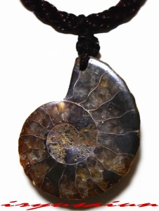 黄鉄鉱化アンモナイト ネックレストップ シルバー チャーム ペンダント