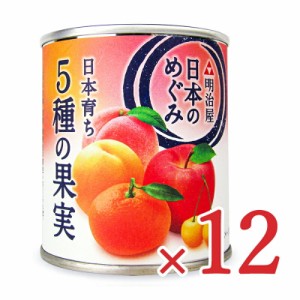 明治屋 日本のめぐみ 日本育ち 5種の果実 215g ×12個 ケース販売