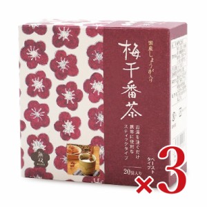  無双本舗 国産生姜入り 梅干番茶スティック 8g×20袋入×3袋 ムソー