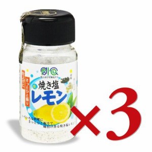 ミツイシ 焼き塩レモン 85g × 3本