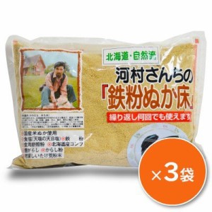 河村さんちの鉄粉ぬか床 1kg ×3 中村食品産業