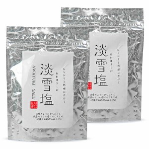  ニットーリレー 淡雪塩 20g × 2袋 日東食品工業