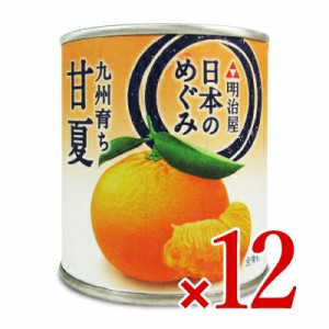 明治屋 日本のめぐみ 甘夏 缶 L　210g×12個 ケース販売