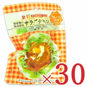 内野家 uchipac 国産鶏 サラダチキン カレー 100g × 30個 ケース販売