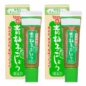 フンドーキン 青柚子こしょう チューブタイプ 30g × 2箱