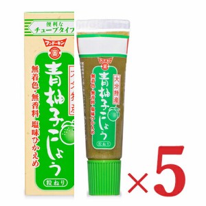 フンドーキン 青柚子こしょう チューブタイプ 30g × 5箱