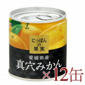  にっぽんの果実　愛媛県産　真穴みかん 190g ×12缶 [K&K]