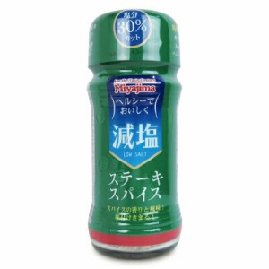 宮島醤油 減塩ステーキスパイス 45g