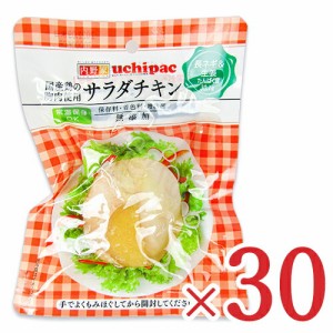 内野家 uchipac 国産鶏 サラダチキン 長ネギ&生姜 100g × 30個 ケース販売
