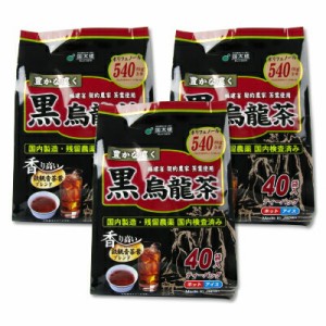 国太楼 豊かな濃く黒烏龍茶 40袋入 × 3個 ティーバッグ