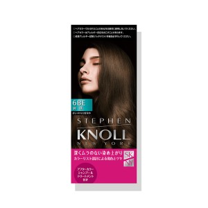 スティーブンノル　カラークチュール 液状ヘアカラー　＜６ＢＥ　ベージュブラウン＞　コーセー