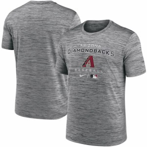 ナイキ メンズ Tシャツ ”Arizona Diamondbacks" Nike Authentic Collection Velocity Practice Space-Dye Performance T-Shirt - Anthra