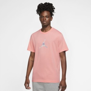 ジョーダン メンズ Tシャツ 半袖 Jordan Sport DNA 23 Short Sleeve Crew - Bleached Coral