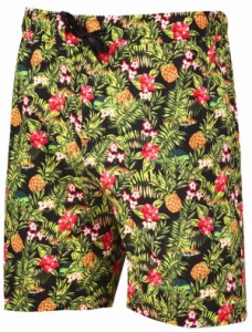 アヴィド メンズ ショートパンツ AVID Men's Sandbar Volley Shorts - Pineapple Express