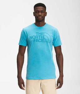 ノースフェイス メンズ Tシャツ The North Face Men’s Short-Sleeve Box NSE Tee - Norse Blue