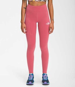 ノースフェイス レディース レギンス The North Face Women’s Movmynt Tight - Slate Rose