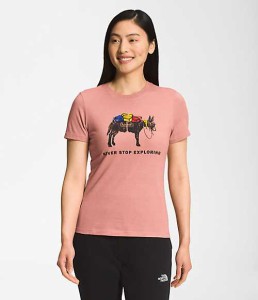 ノースフェイス レディース Tシャツ The North Face Women's Short Sleeve Pony Wheels Triblend Tee - Rose Dawn Heather