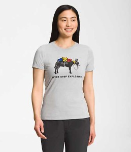 ノースフェイス レディース Tシャツ The North Face Women's Short Sleeve Pony Wheels Triblend Tee - TNF Light Grey Heather