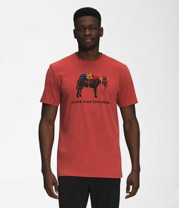 ノースフェイス メンズ Tシャツ The North Face Men's Short Sleeve Pony Wheels Tee - Tandori Spice Red