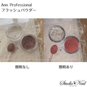 アン プロフェッショナル Ann Professional フラッシュパウダー レッド