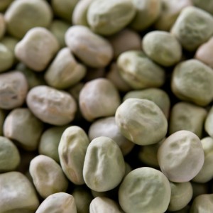 送料無料 グリーンピース 5kg 乾燥豆【業務用】【常温便】【Green Peas】【Mattal】