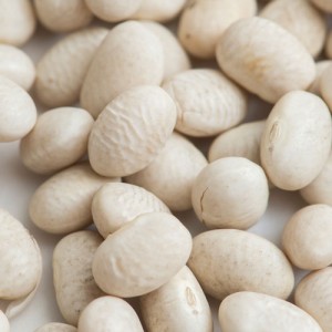 送料無料 ホワイトキドニービーンズ 10kg (1kg×10袋)【White Kidney Beans】【業務用】