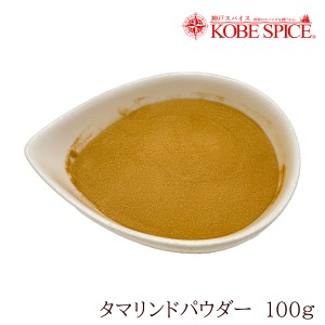 タマリンドパウダー 100g Tamarind Powder 野菜パウダー