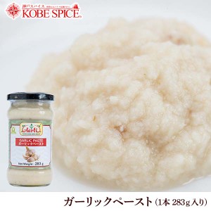 ガーリックペースト 283g 1本　通常便 garlic paste paste にんにく ニンニク 調味料 すりおろし インドカレー