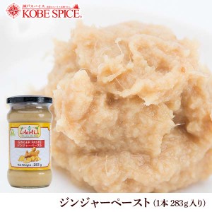 ジンジャーペースト 283g 1本　通常便 Ginger Paste すりおろし しょうが 生姜 ショウガ 調味料 インド料理